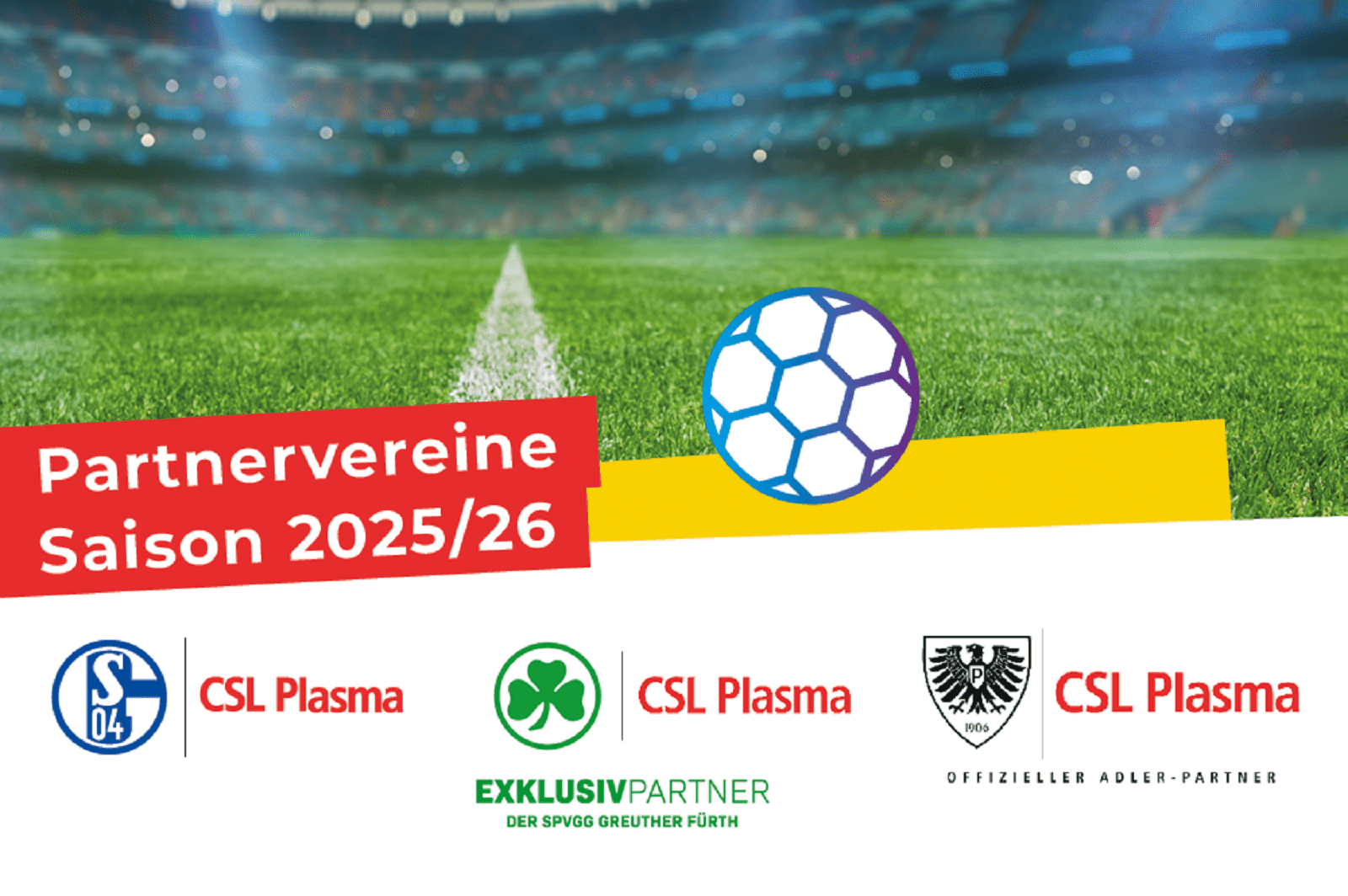 250825_CSL_Amazing_Stories_Koop_1000x665px